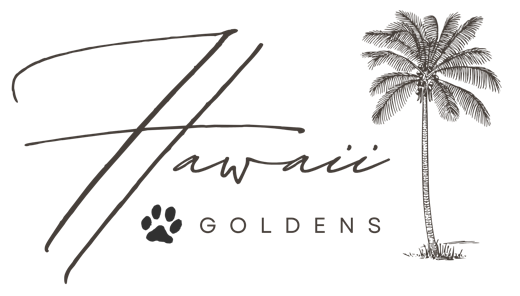 Hawaii Goldens