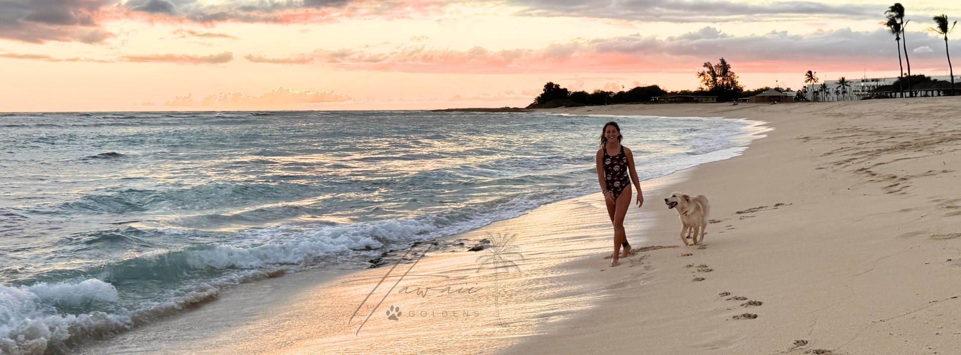 Sunset over an Oʻahu beach with a golden retriever walking at the waterʻs edge